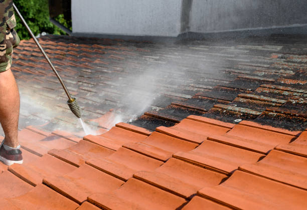 Best Roof Pressure Washing  in Fountainhead Orchard Hills, MD